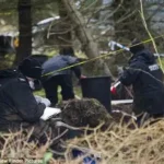 MAGA Followers Claim Google Searches Expose Crimes by DC Elites