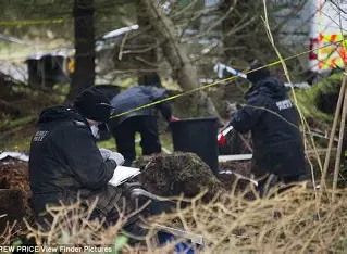 Body Found in Remote Forest as Search for Missing Runner Ends in Tragedy
