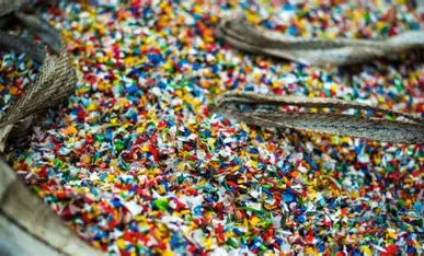 Microplastics Are Choking Our Waters. Could a Sponge Made of Squid Bones Help Remove Them?
