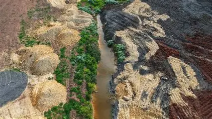 Melbourne Developer and Business Hit with $170K Fine for Destroying Native Vegetation in Truganina