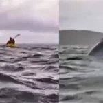 Nigeria’s Battle Against Non-Communicable Diseases Rages on as $1.26 Billion Spent Annually on Treatments