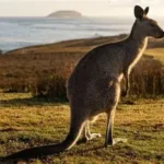 Google Joins the Growing Movement of Companies Ending Diversity Recruitment Goals Amid Shifting Political Landscape