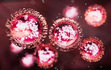 US Reports First Measles Death Since 2015 Amid Texas Outbreak